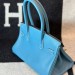 Сумка Hermes Birkin Shoulder RB6749