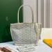 Сумка Goyard Anjou Mini RE6509