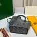 Сумка Goyard Anjou Mini RE6510