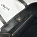 Сумка Celine Medium Cabas Anais RE6402