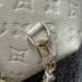 Рюкзак Louis Vuitton Backup RE6619