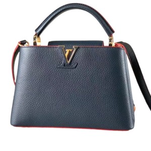 Сумка Louis Vuitton Capucines RR6671