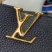 Сумка Louis Vuitton Capucines RR6673