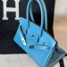 Сумка Hermes Birkin Shoulder RB6749