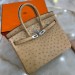 Сумка Hermes Birkin 25 RB6776