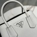 Сумка Prada Double RB6798