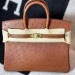 Сумка Hermes Birkin 25 RB6830