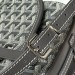 Сумка Goyard Belvedere PM RE6456