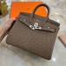 Сумка Hermes Birkin 25 RB6777