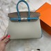 Сумка Hermes Birkin 25 RB6781