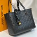 Сумка Louis Vuitton Borsa All In One PM RN2232