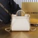 Сумка Dolce & Gabbana Sicily Mini Bag RN2665