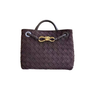 Сумка Bottega Veneta Andiamo RN1561