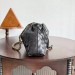 Сумка Bottega Veneta Dustbag RN1580