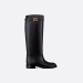 Зимние сапоги Cristian Dior F2408