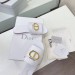 Шлепанцы Christian Dior F4038