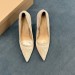 Туфли Gianvito Rossi F6173