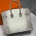 Сумка Hermès Himalaya Birkin 25 NR1003