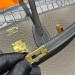 Сумка Hermes Birkin 25 RN1024
