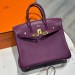 Сумка Hermes Birkin 25 RN1118