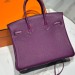 Сумка Hermes Birkin 25 RN1118