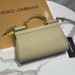 Сумка Dolce Gabbana Sicily small long RN1238