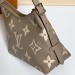 Сумка Louis Vuitton Carry All PM RN1251