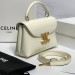 Сумка Celine Teen Nino RN1257