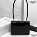 Сумка Celine Garance RN1268