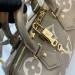 Cумка Louis Vuitton Speedy RN1384