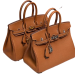 Сумка Hermes Birkin 25 RN1395