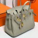 Сумка Hermes Birkin 25 RN1397