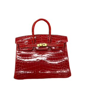 Сумка Hermes Birkin 25 RN1535