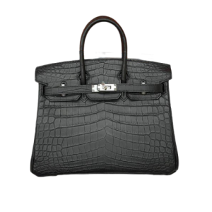 Сумка Hermes Birkin 25 RN1530