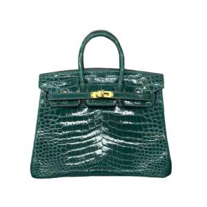 Сумка Hermes Birkin 25 RN1531