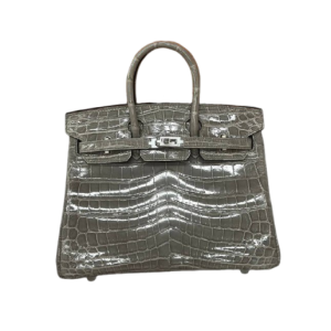 Сумка Hermes Birkin 25 RN1532