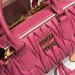 Сумка Miu Miu Arcadie Leather Bag RN1595