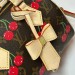 Cумка Louis Vuitton Speedy 20 RN1641