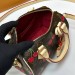Cумка Louis Vuitton Speedy 20 RN1641