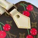 Cумка Louis Vuitton Speedy 20 RN1641
