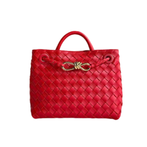 Сумка Bottega Veneta Small Andiamo RN1647
