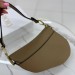 Сумка Christian Dior Saddle RN1681