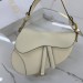 Сумка Christian Dior Saddle RN1682
