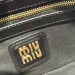 Сумка Miu Miu Arcadie RN1707