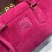 Сумка Miu Miu Arcadie RN1708