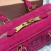 Сумка Miu Miu Arcadie RN1708
