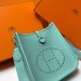 Сумка Hermes Evelyne RN1718