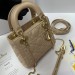 Сумка Christian Dior Lady RN1736