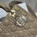 Сумка Christian Dior Lady RN1740