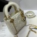 Сумка Christian Dior Lady RN1739